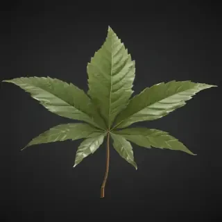 pot leaf png