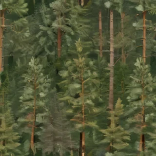 pine trees transparent background