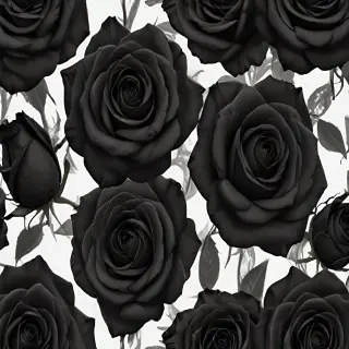 black roses png