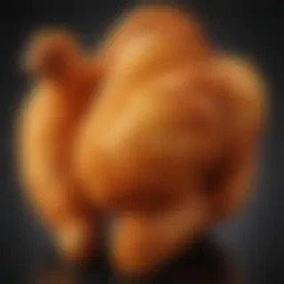 fried chicken png