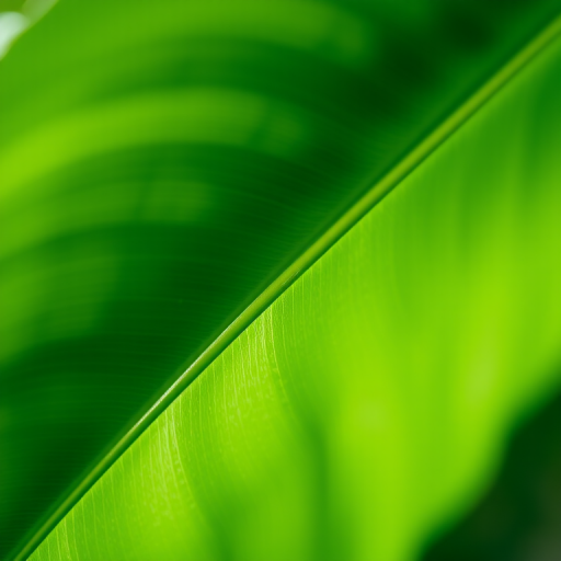 create a high-resolution image of a glossy green leaf with a smooth gradient, top-down view, using a DSLR camera at f/8 aperture, ISO 100, 50mm lens, natural lighting for enhanced clarity and detail