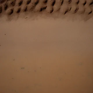 earthy background