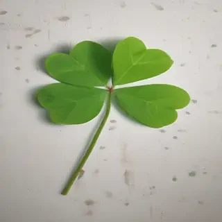 4 leaf clover png
