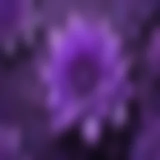 purple cute wallpaper