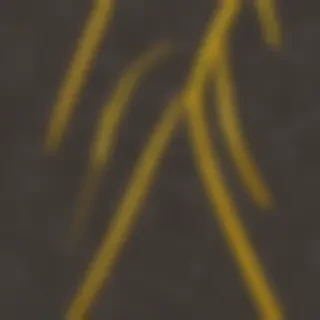 gold line png