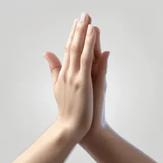praying hands png transparent
