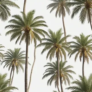 palm tree transparent