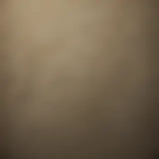 border bg