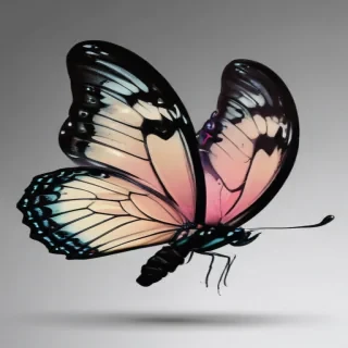 transparent butterfly png