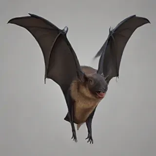 bat png