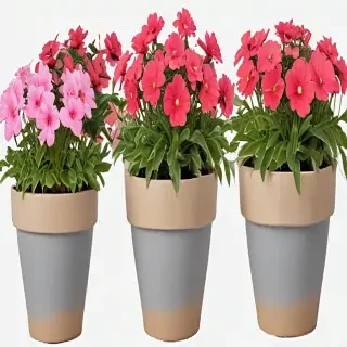 flower pot png