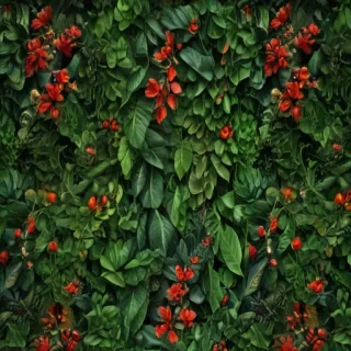 plant backgrounds