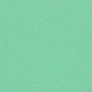 mint green background