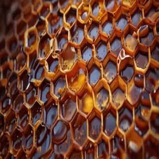 honeycomb png
