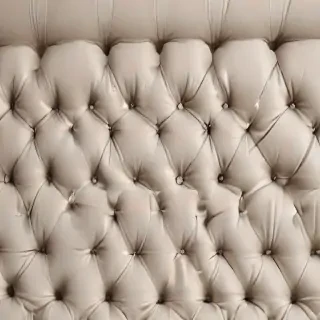 bed back ground