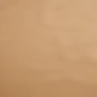 craft paper texture