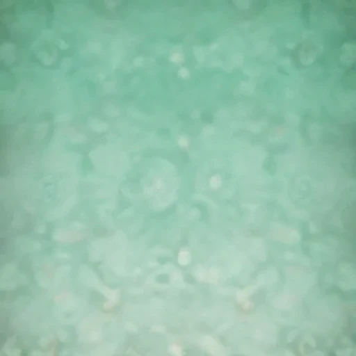 mint green backgrounds