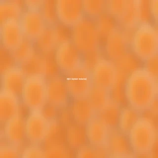 orange cute wallpaper