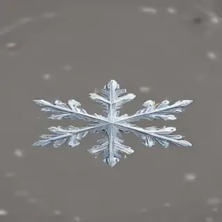 snow flake png