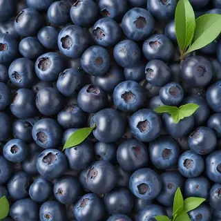 blueberry png