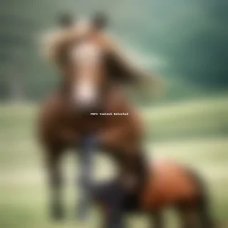 horse wallpapers