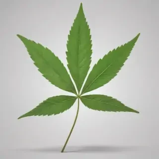 weed leaf png