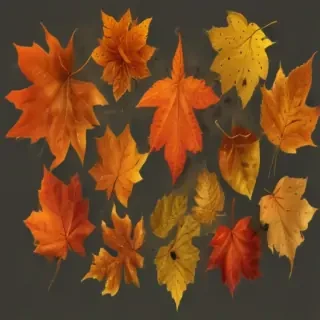 png fall leaves