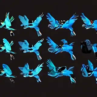 birds transparent background