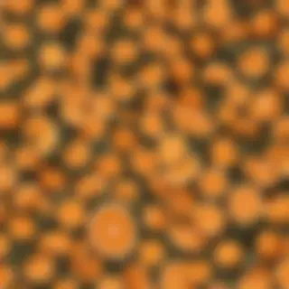 orange aesthetic wallpaper