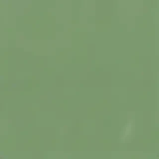 plain green bg