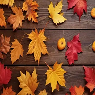 iphone backgrounds fall