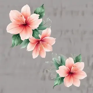 transparent background flower clipart