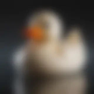 rubber duck png