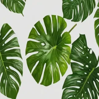 tropical leaf png