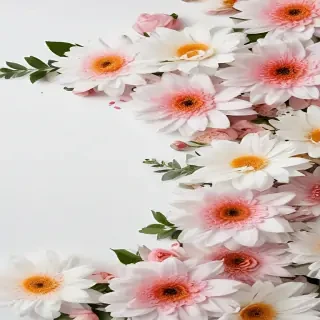 white background with flowers