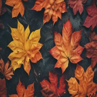 fall aesthetic wallpaper iphone