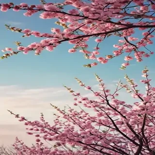 aesthetic spring wallpaper