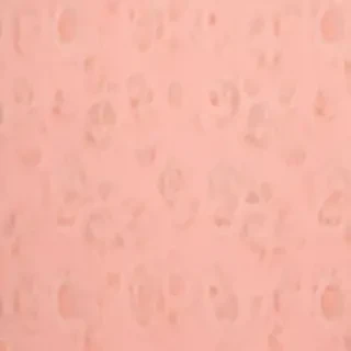 peach color background