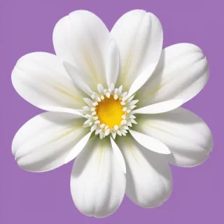 white flowers png transparent