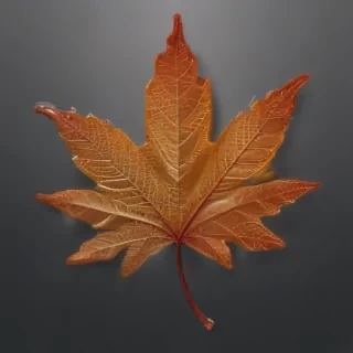leaf transparent background