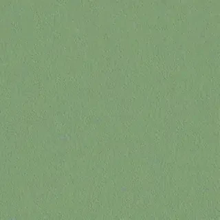 sage green bg