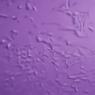 purple wallpaper iphone aesthetic
