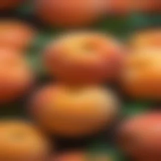 peach background wallpaper