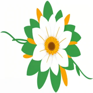 flower clipart no background