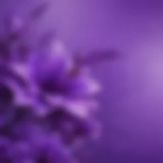 pretty purple backgrounds