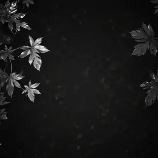 black bg aesthetic