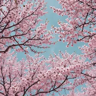 spring backgrounds aesthetic