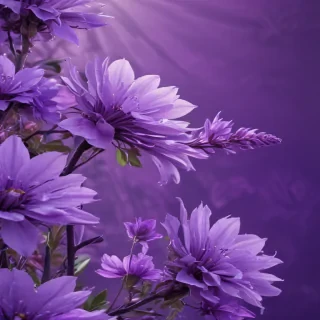 pretty purple backgrounds