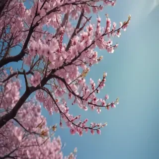 springtime iphone wallpaper