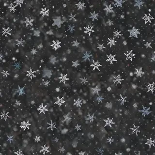 transparent snow png